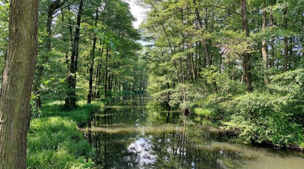 Ferienwohnung Spreewald Spreemilia Gurkenbude Lübbenau Exterior foto